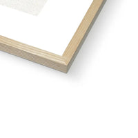 Ixia Phlogiflora | Vintage Flower Print | Botanical Art - Framed