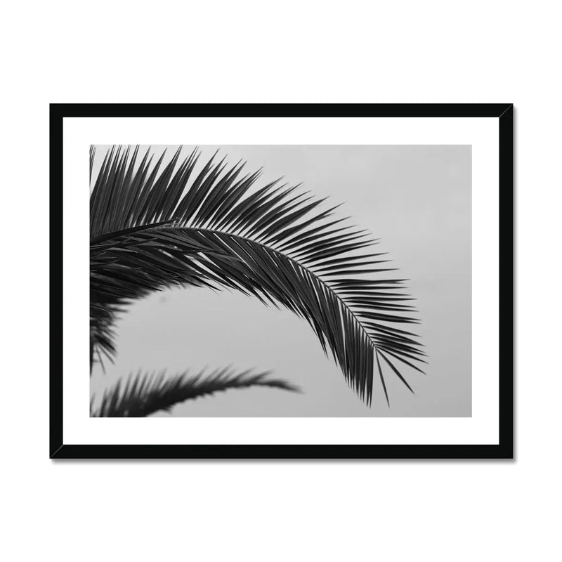 Palm Leaf Print Black White Palm Tree Photograph Framed