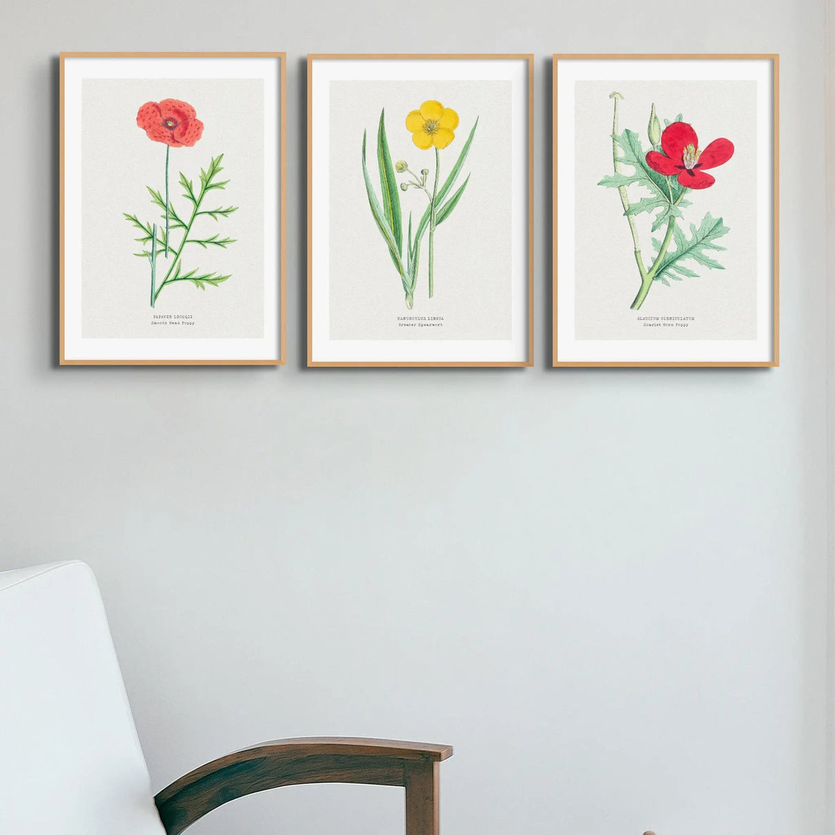 Poppy Floral Painting | Vintage Flower Print | Botanical Art - Unframed Wall Art