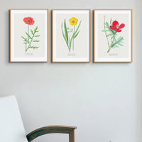 Poppy Floral Painting | Vintage Flower Print | Botanical Art - Unframed Wall Art