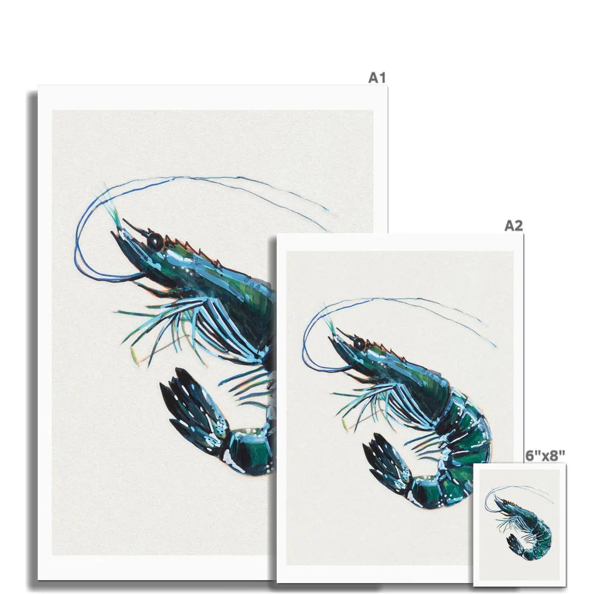 Prawn Painting Print | Watercolour Shellfish Art - Kitchen Wall Art Unframed