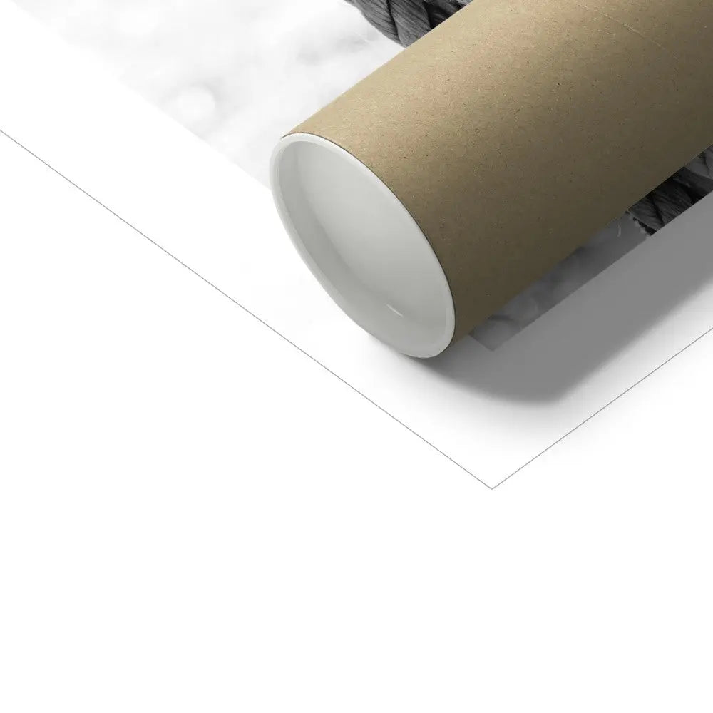 Rope & Tackle (Black & White Photography) - Unframed - Beach House Art