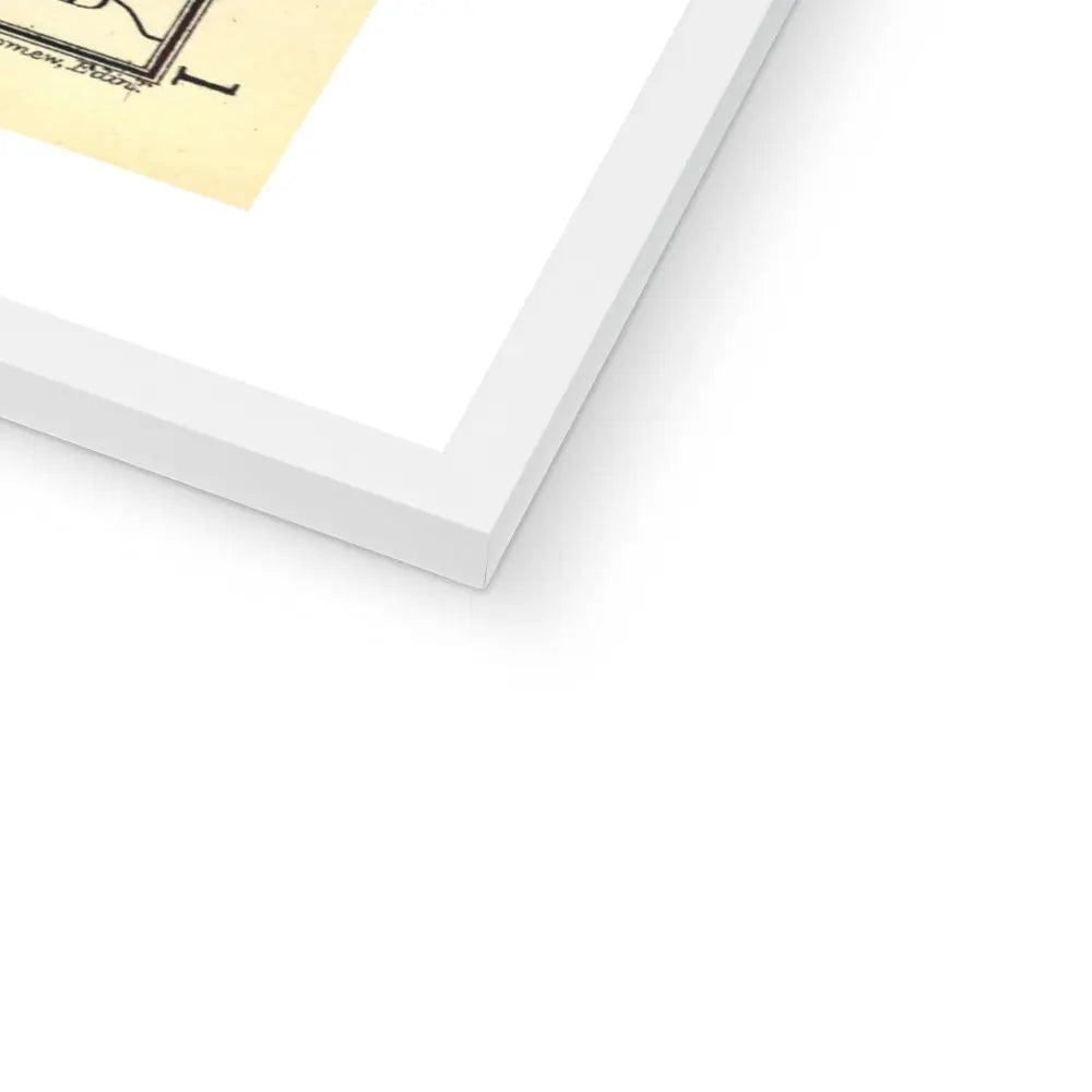 Scotland Vintage Map (Scotland Map) Vintage Map - Framed - Beach House Art