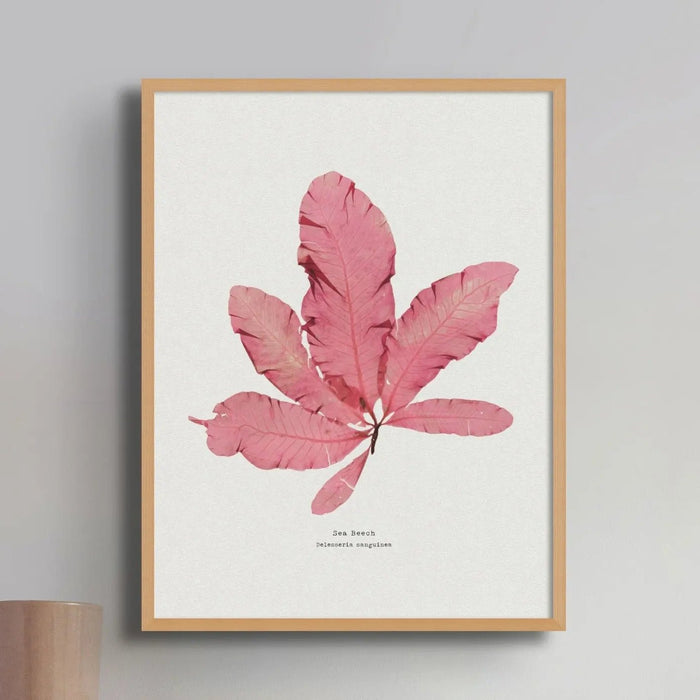 Seaweed Print Wall Art (Sea Beech) - Framed - Beach House Art
