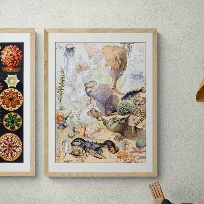 Sea Creatures (Coral) - Framed Print Wall Art 45.00 Beach House Art