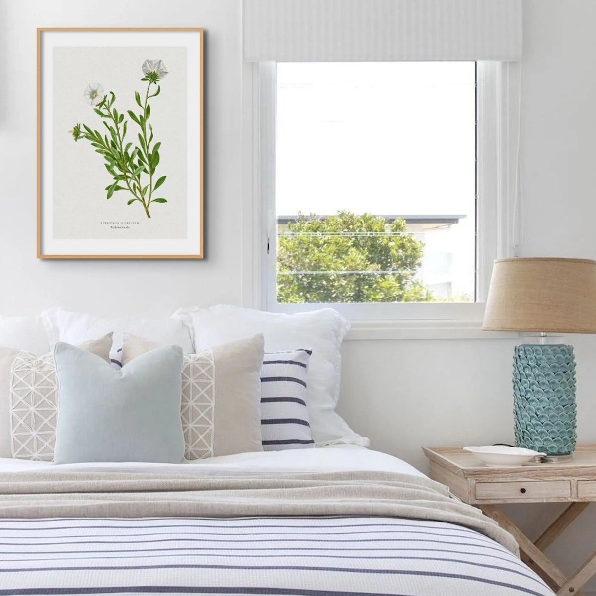 Silverbush | Vintage Flower Print | Botanical Art - Unframed Floral Art Print