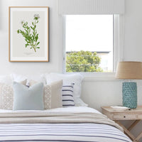 Silverbush | Vintage Flower Print | Botanical Art - Unframed Floral Art Print