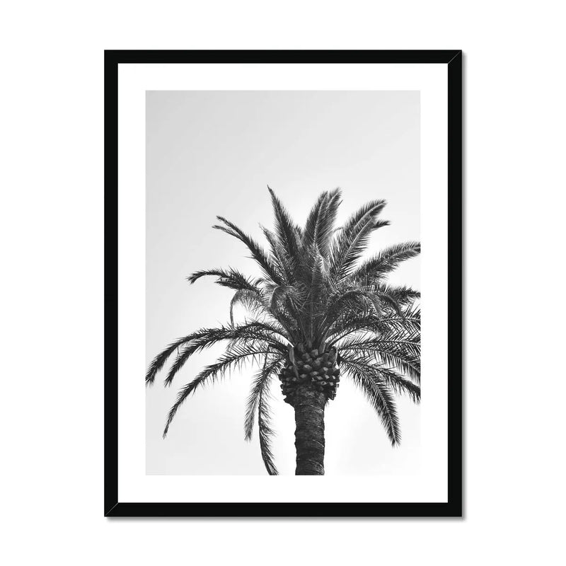 Solitary Palm Tree Print Black White Palm Photograph Framed