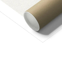 Yellow Bulbine | Vintage Flower Print | Botanical Art - Unframed