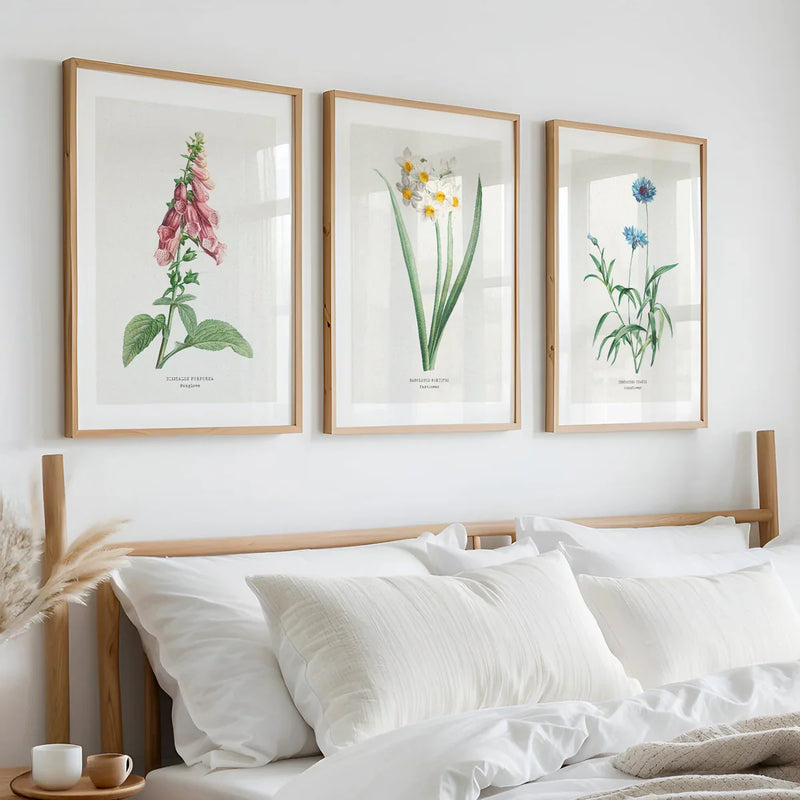 Vintage Botanical wall art styled in a calm bedroom