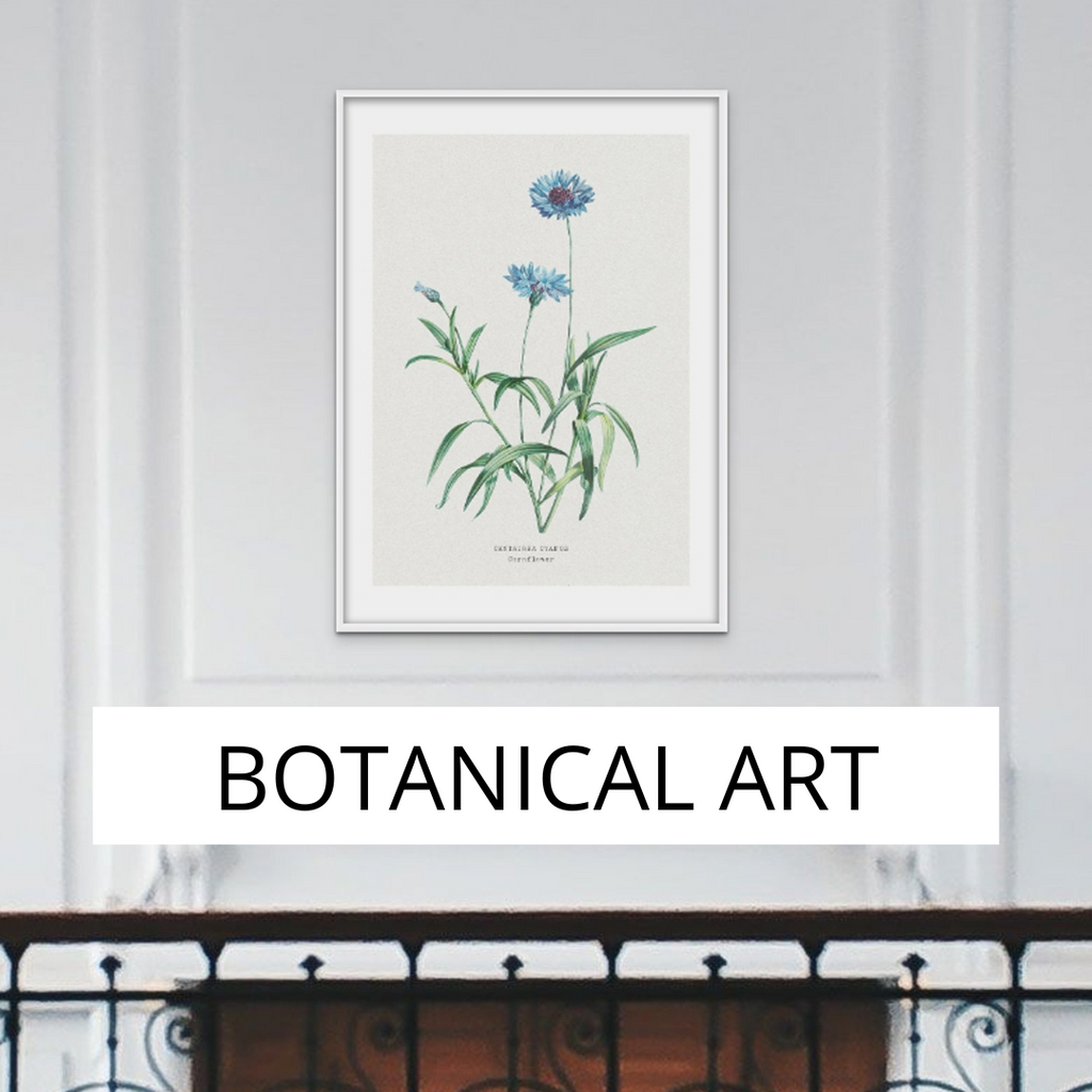 Botanical Art Print collection header. Blue Flower print above bed