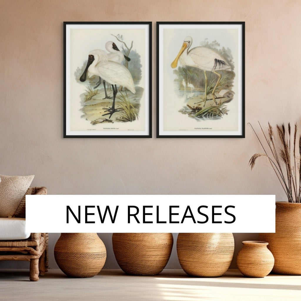 new print releases collection - set of three pressed seaweed prints