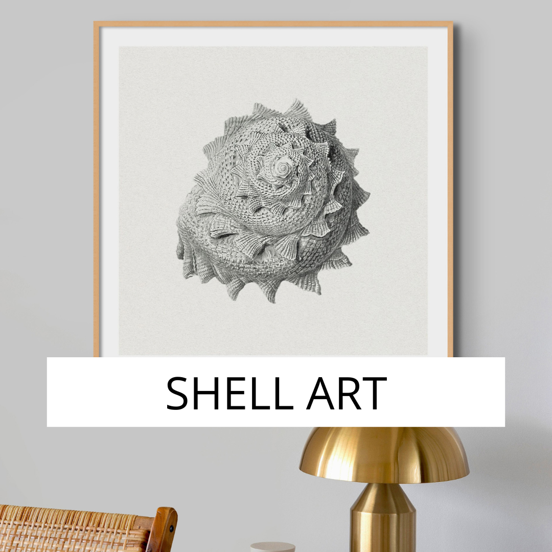 Shell Print Abstract Shell Prints & Seashell Wall Art | Coastal Shell Art | Beach House Art