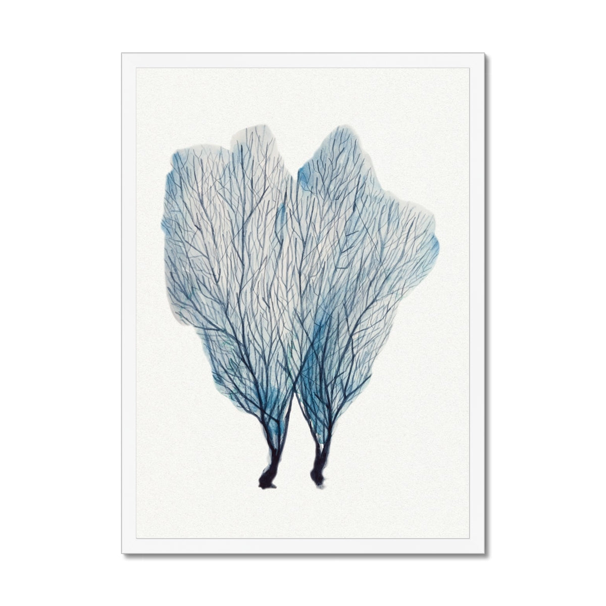 Sea Fan Watercolour Coral Painting | Coral Art | No 1 - Framed