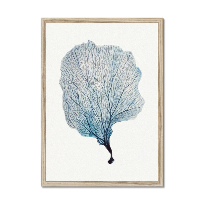 Sea Fan Watercolour Coral Painting | Coral Art | No 2 - Framed