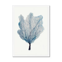 Sea Fan Watercolour Coral Painting | Coral Art | No 3 - Framed