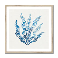 Framed artwork of blue seaweed design on a white background
