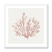Pink Coral Art Print | Coral Wall Art - Unframed