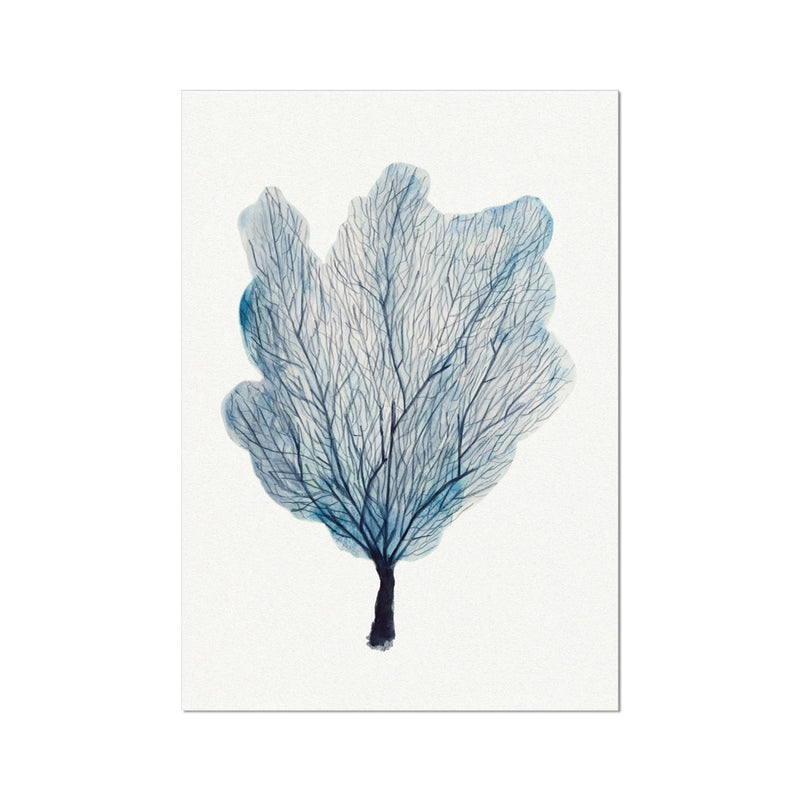 Sea Fan Watercolour Coral Painting | Coral Art |  No 3 - Unframed