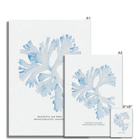 Blue Watercolour Seaweed Art Print | Beautiful Fan Weed Seaweed Painting  - Unframed