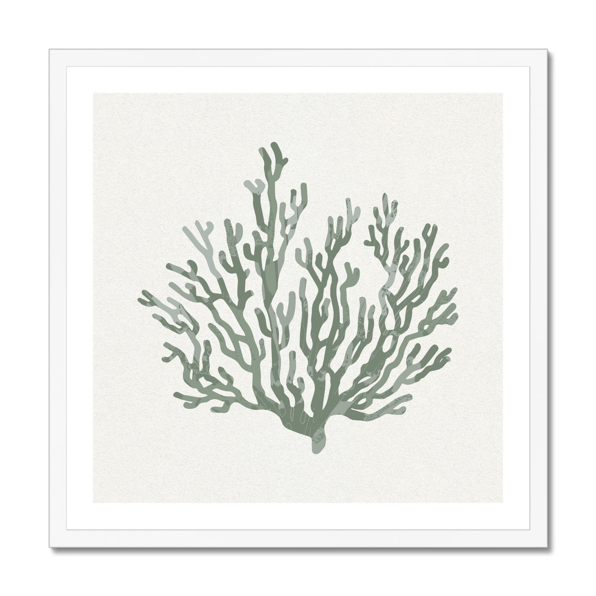 Sage Green Coral Art Print | Shell & Coral Art - Unframed