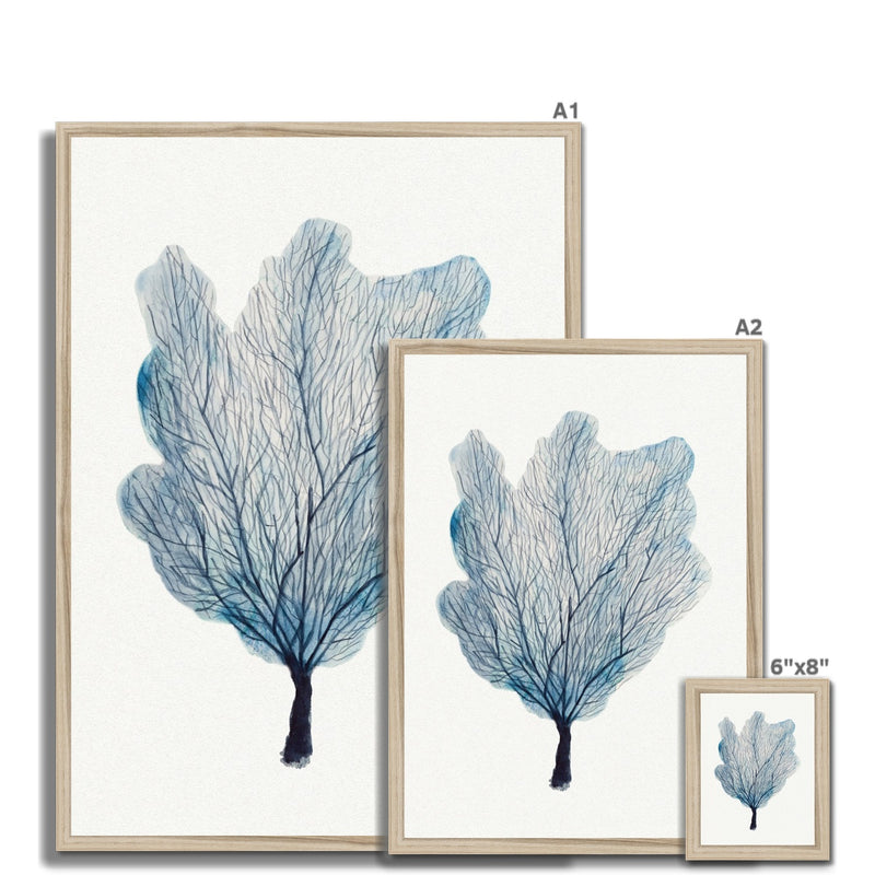 Sea Fan Watercolour Coral Painting | Coral Art | No 3 - Framed