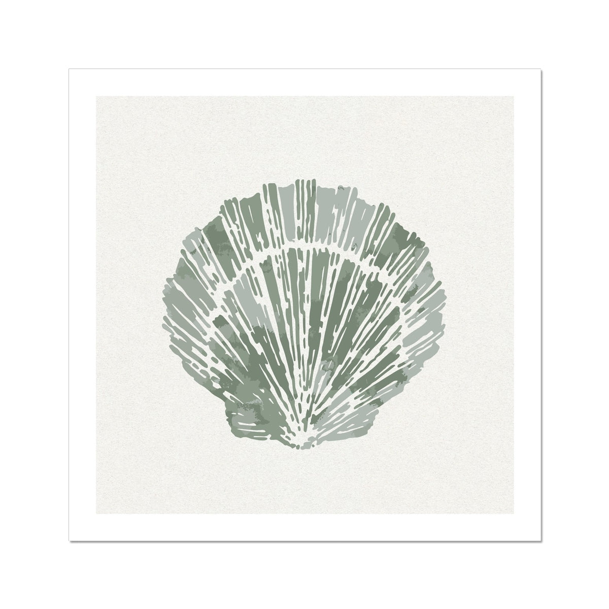 Sage Green Scallop Shell Art Print | Shell & Coral Art - Unframed