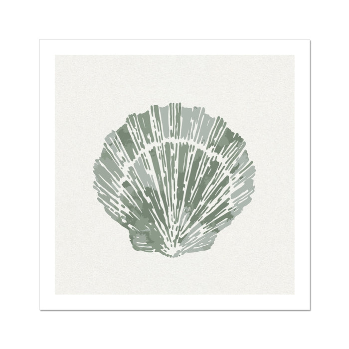 Sage Green Scallop Shell Art Print | Shell & Coral Art - Unframed