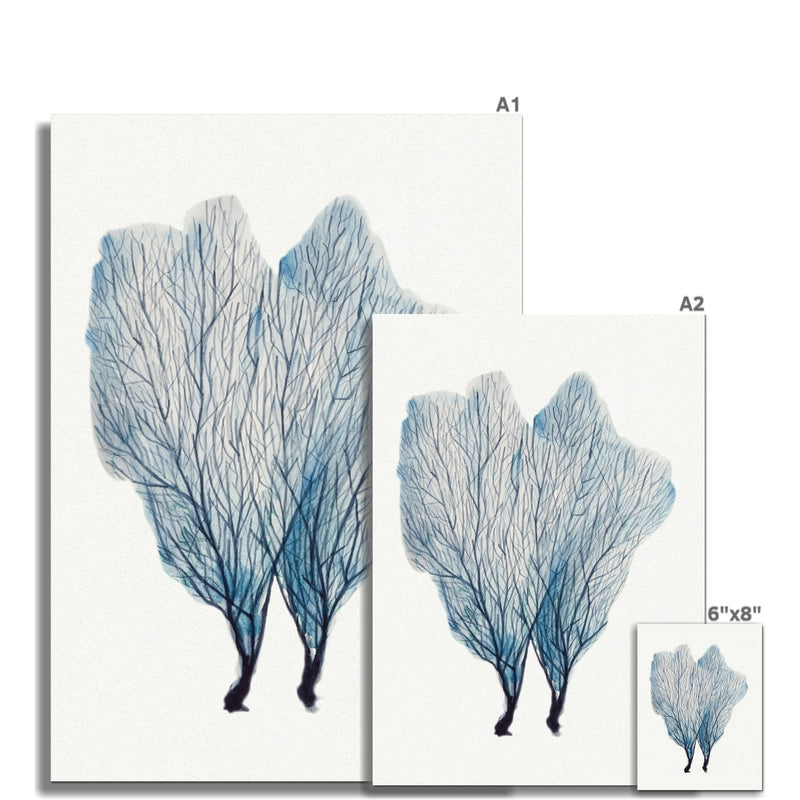 Sea Fan Watercolour Coral Painting | Coral Art | No 1 - Unframed