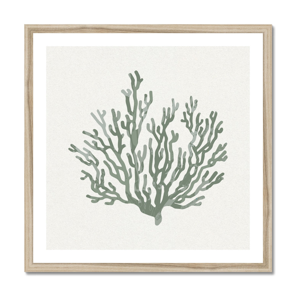 Sage Green Coral Art Print | Shell & Coral Art - Framed