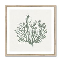 Sage Green Coral Art Print | Shell & Coral Art - Unframed