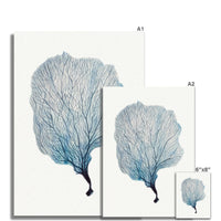 Sea Fan Watercolour Coral Painting | Coral Art | No 2 - Unframed