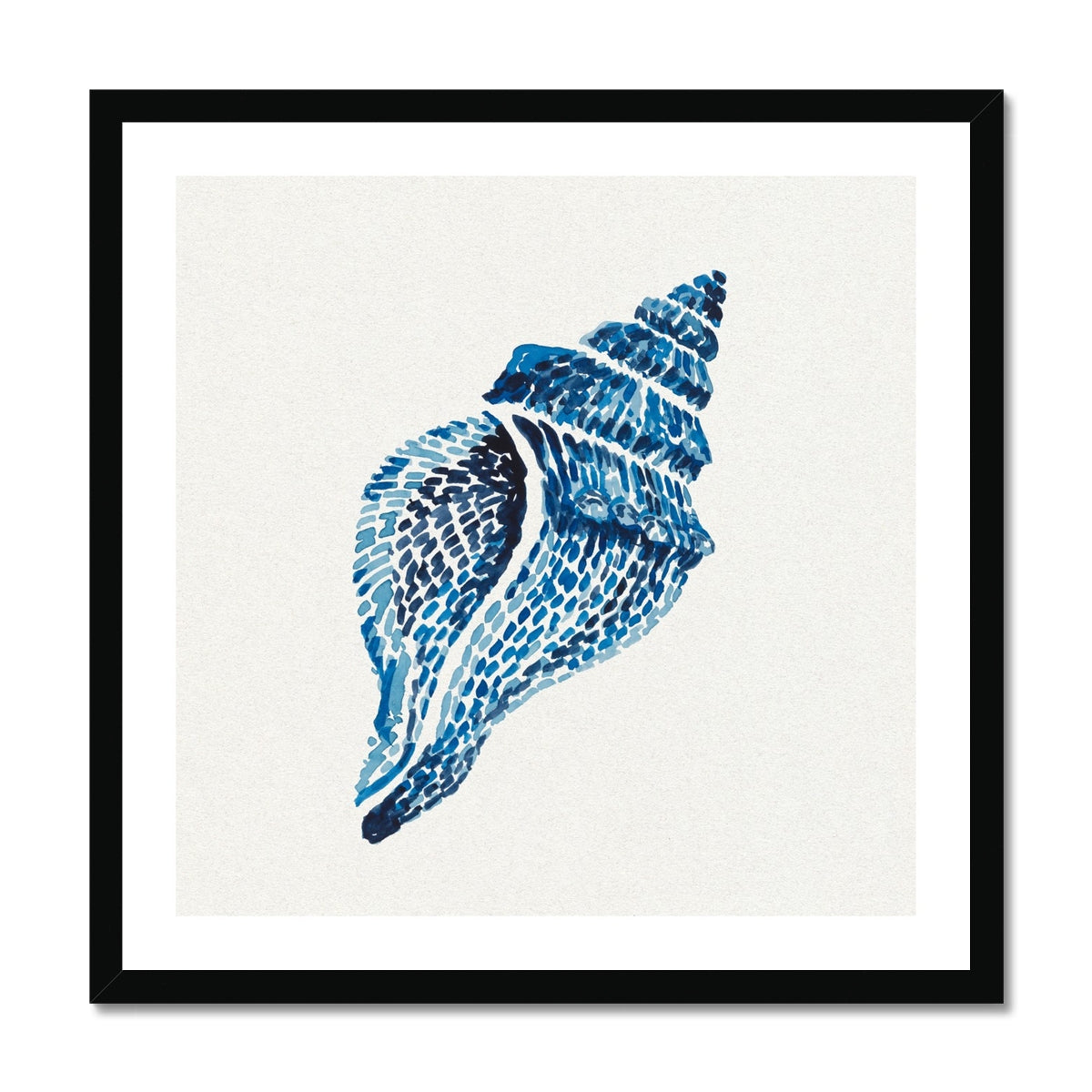 Blue shell illustration on a white background with a black frame