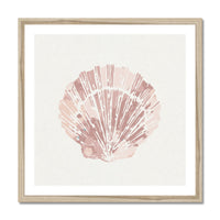 A framed art print of a scallop shell in dusty pink colour, presented against a neutral background.