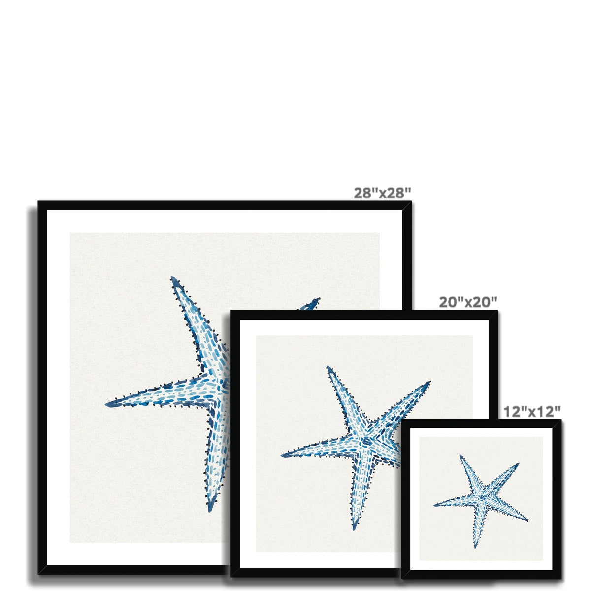 Set of three framed starfish prints with dimensions displayed