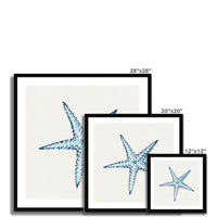 Set of three framed starfish prints with dimensions displayed