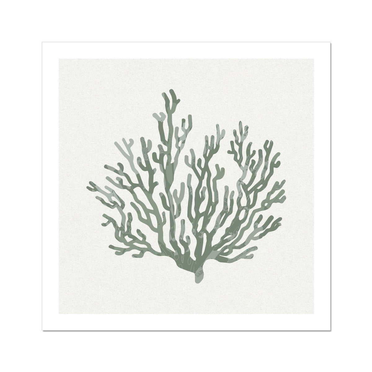 Sage Green Coral Art Print | Shell & Coral Art - Unframed