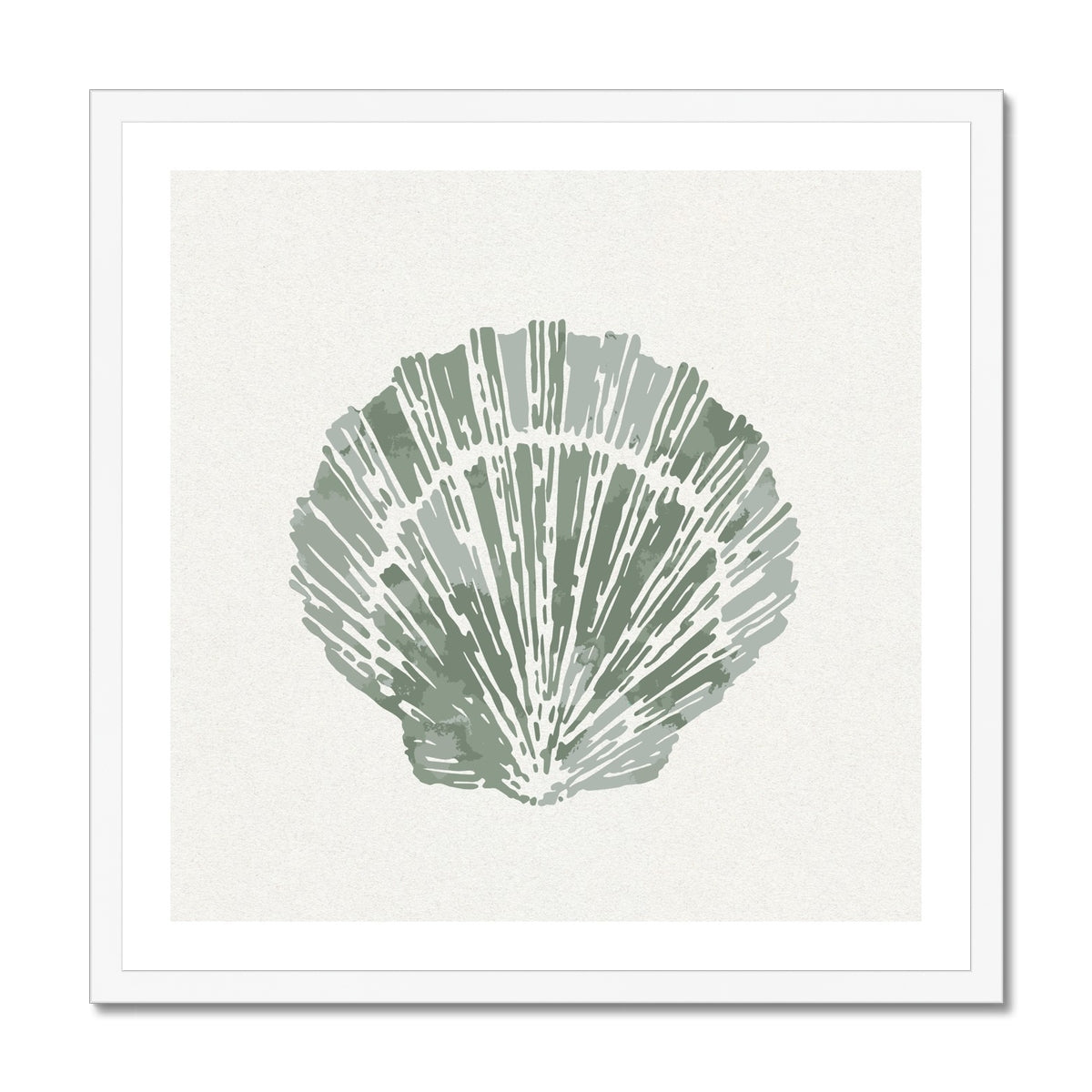 Sage Green Scallop Shell Art Print | Shell & Coral Art - Unframed