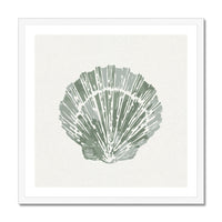 Sage Green Scallop Shell Art Print | Shell & Coral Art - Unframed