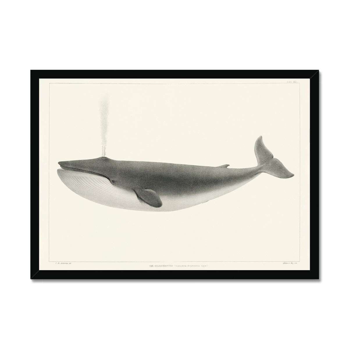 image12