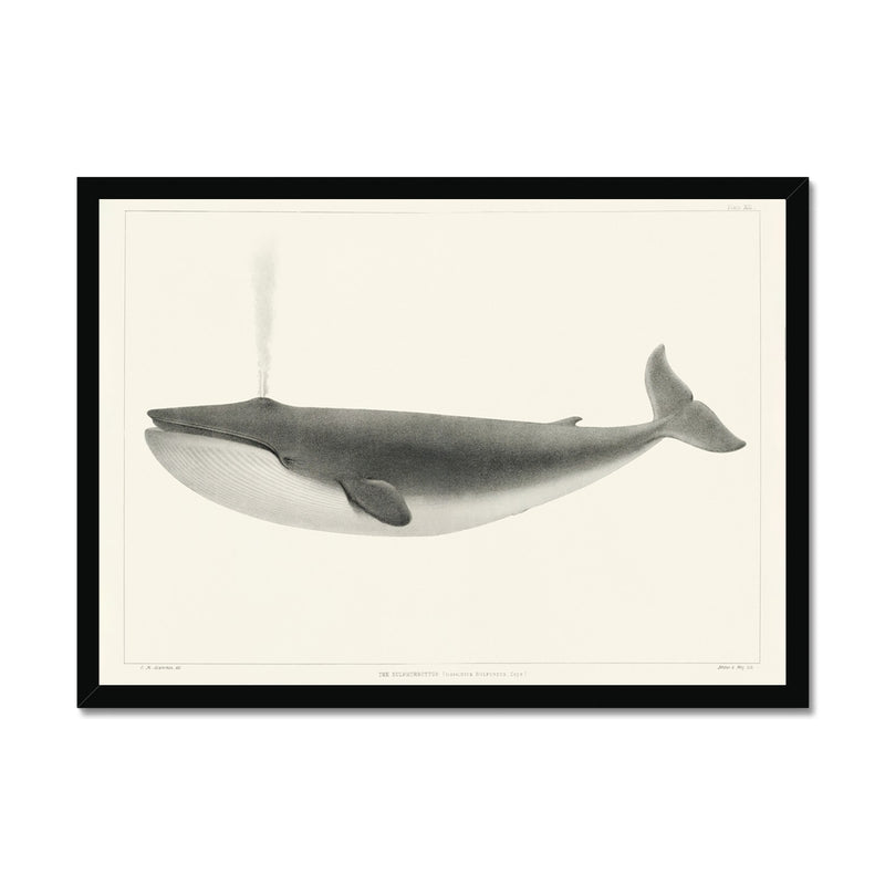 image12