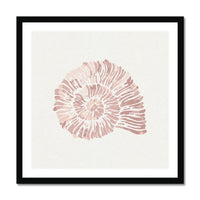 Pink Spiral Shell Art Print | Shell Wall Art - Unframed