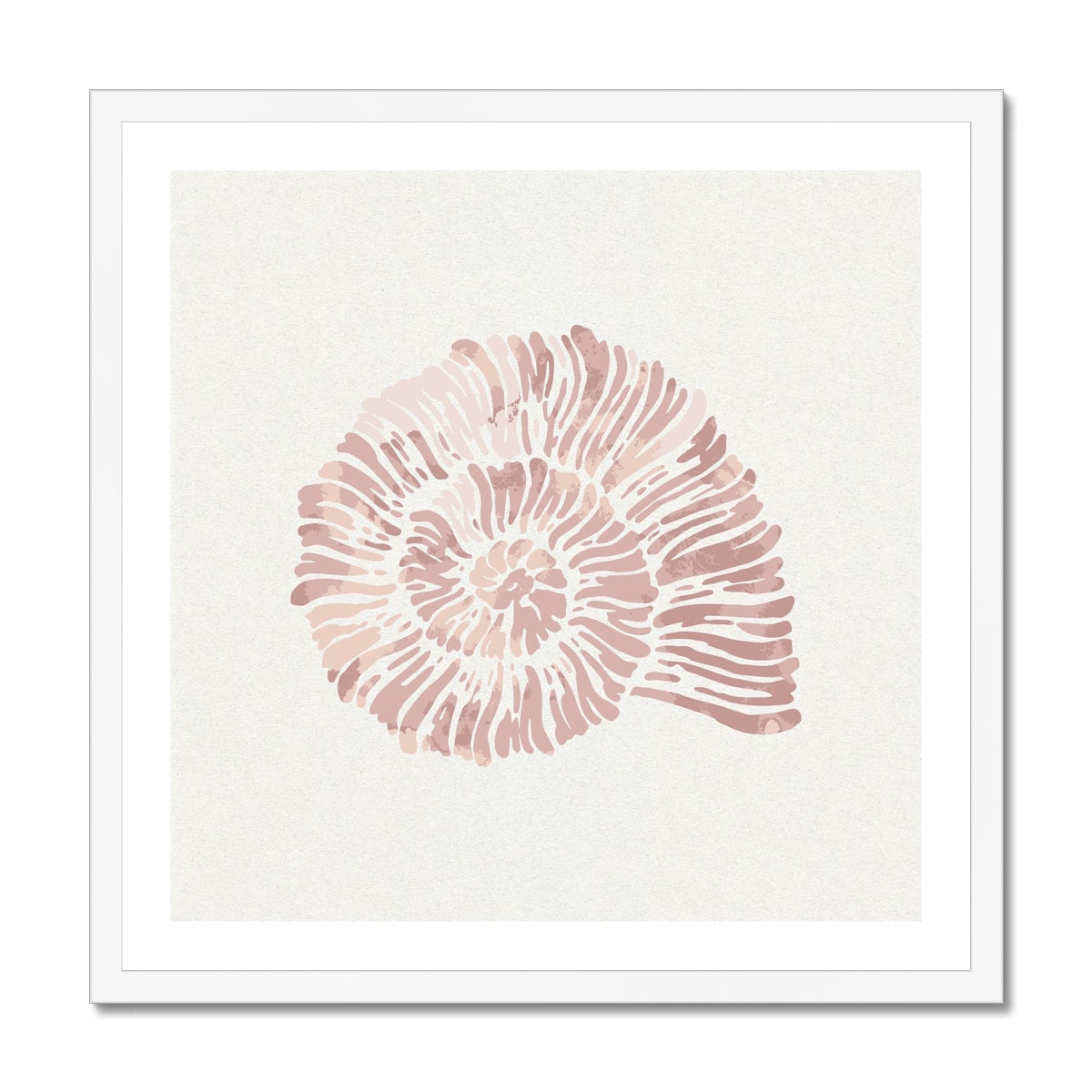 Pink Spiral Shell Art Print | Shell Wall Art - Unframed