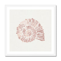 Pink Spiral Shell Art Print | Shell Wall Art - Unframed