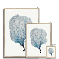 Sea Fan Watercolour Coral Painting | Coral Art | No 2 - Framed
