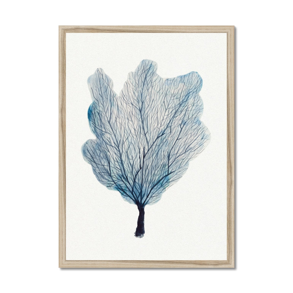 Sea Fan Watercolour Coral Painting | Coral Art | No 3 - Framed