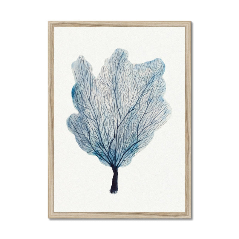 Sea Fan Watercolour Coral Painting | Coral Art | No 3 - Framed