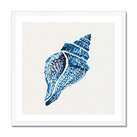 Framed artwork of a blue shell on a white background