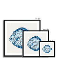 Set of three framed blue fish illustrations with dimensions displayed.