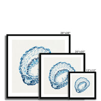 Set of three framed artworks with blue oyster paintings on a white background, showing different sizes.